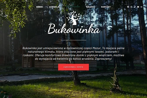 Bukowinka - Landing Page